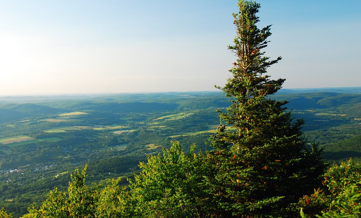 Mount Greylock State Reservation