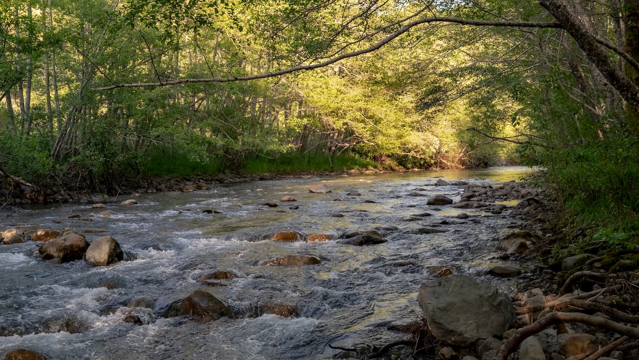 Mendocino National Forest