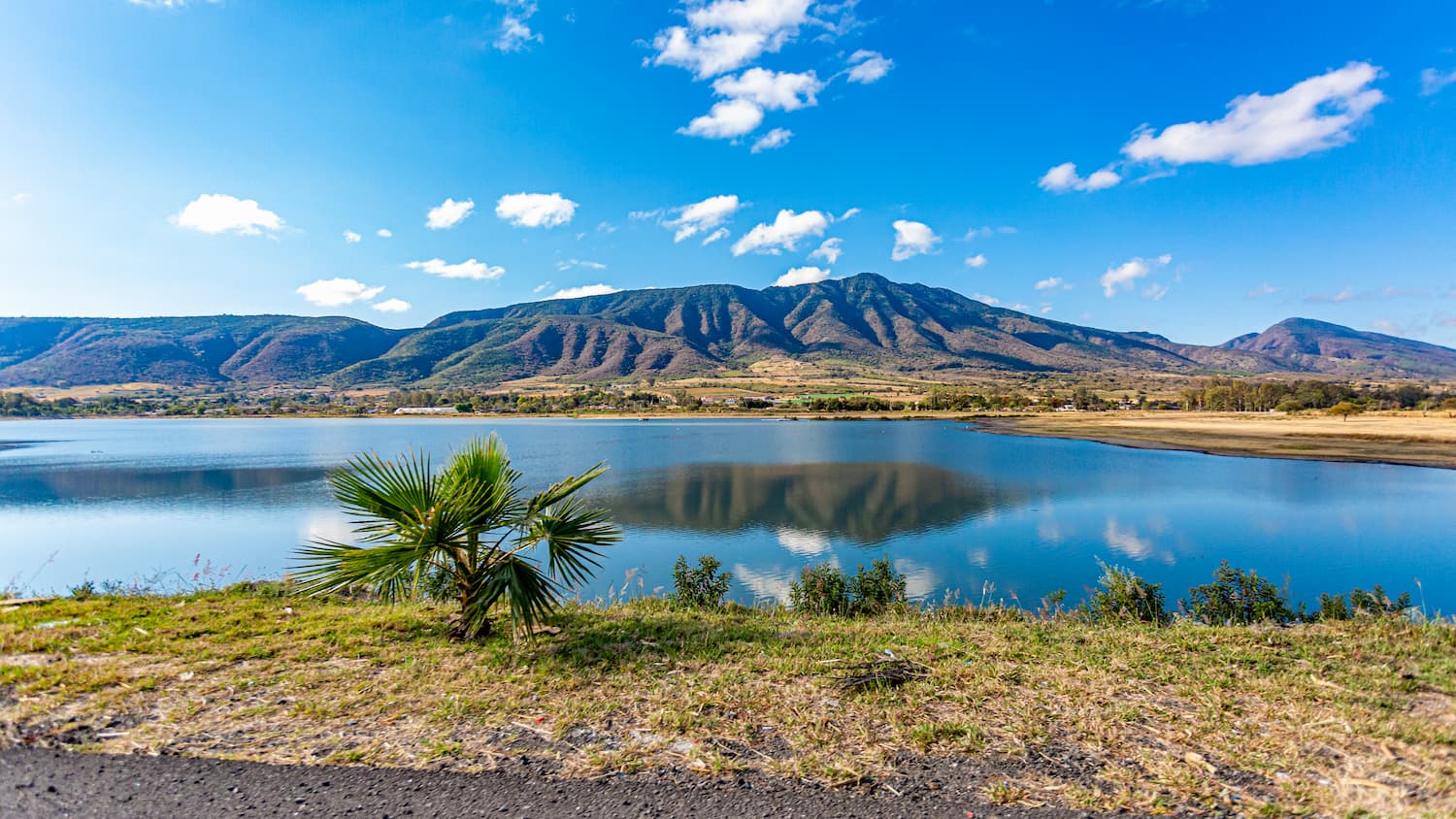 Chapala highway, Guadalajara, Mexican West Coast Ranges