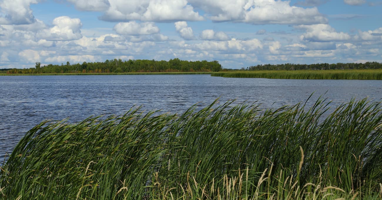 Lake Agassiz Plain. Minnesota