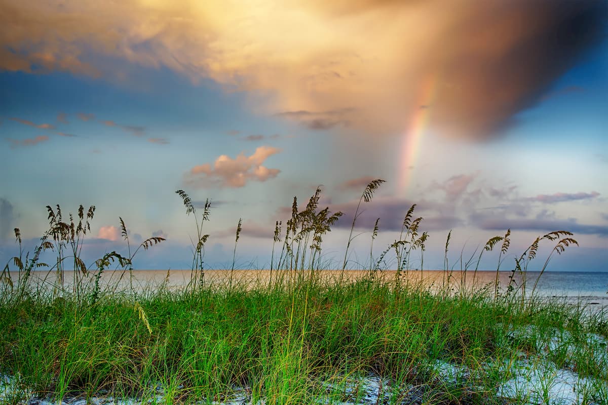 Sea oats growing on beach with rainbow and clouds in background at sunrise, Mississippi