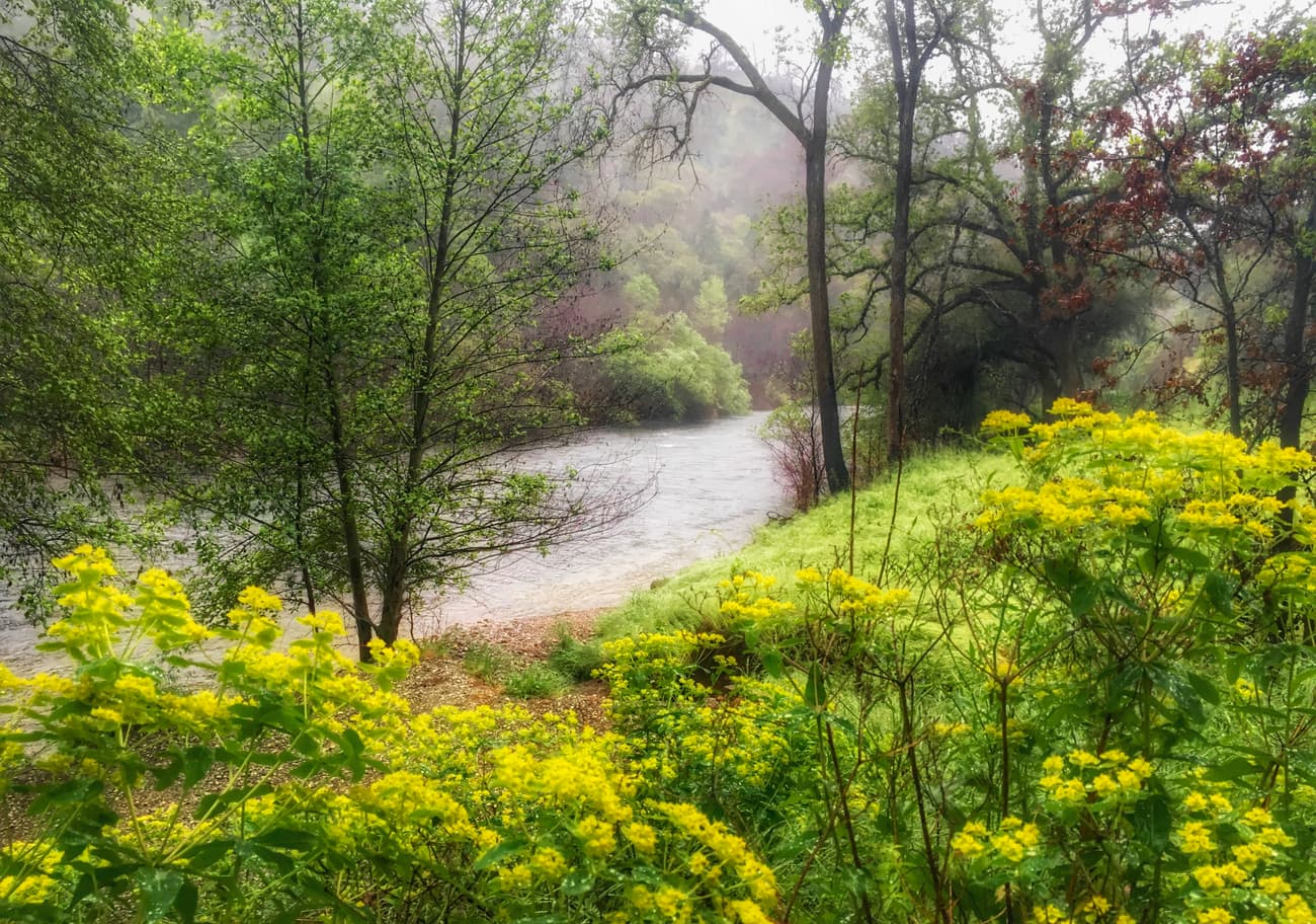 Mokelumne Hill. Mokelumne Wilderness