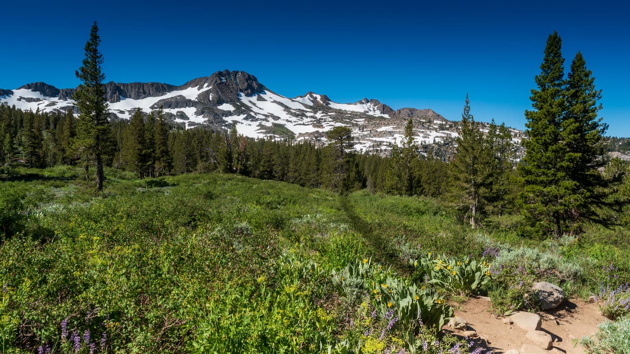 Mokelumne Wilderness