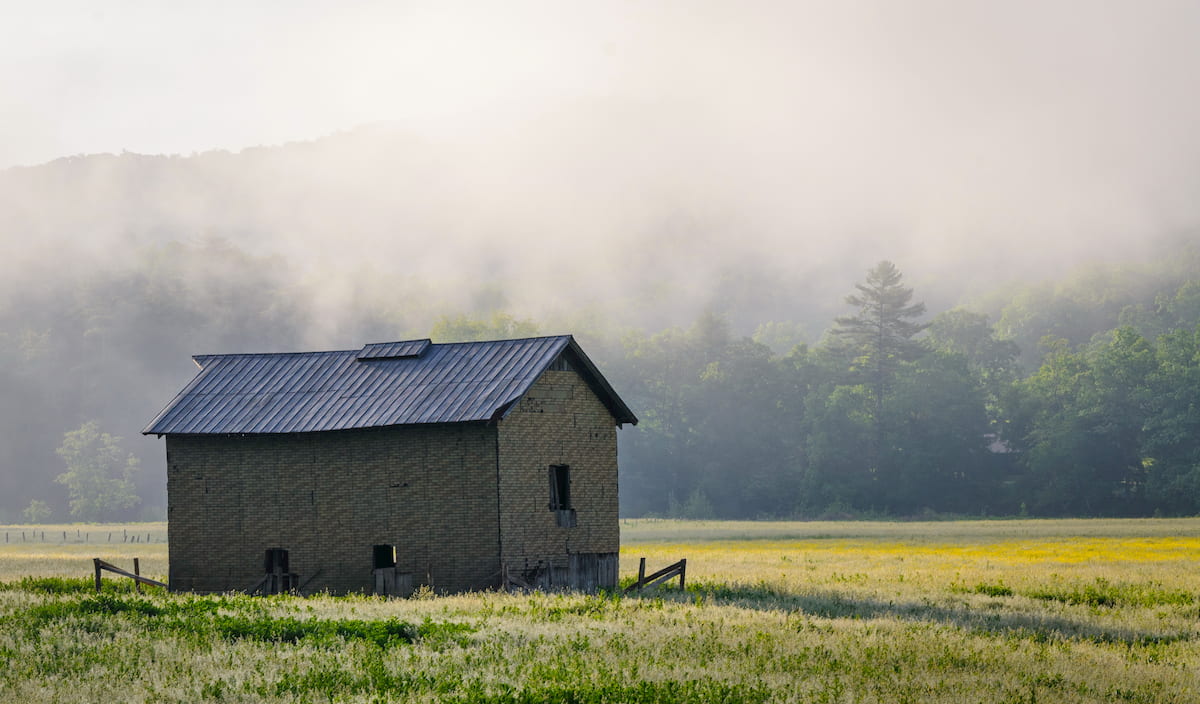Hut. Monongahela National Forest