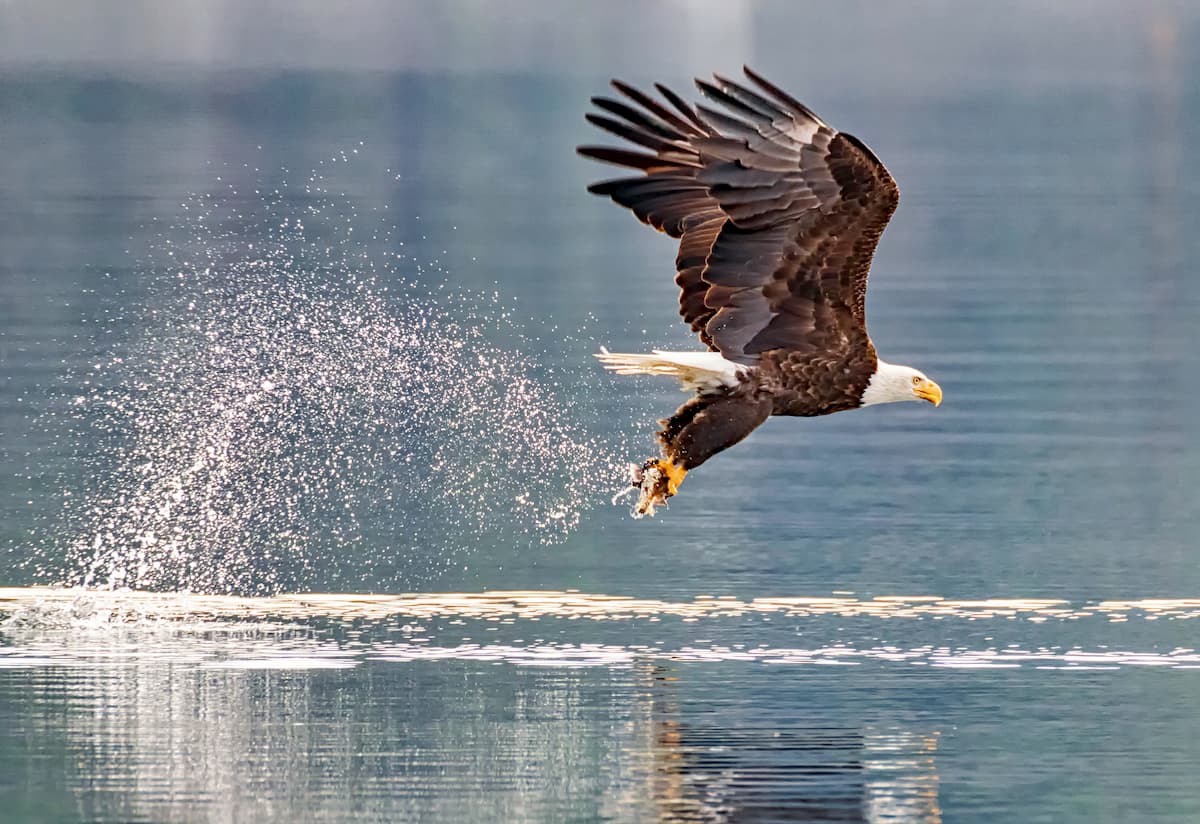 Snake River Birds of Prey National Conservation Area