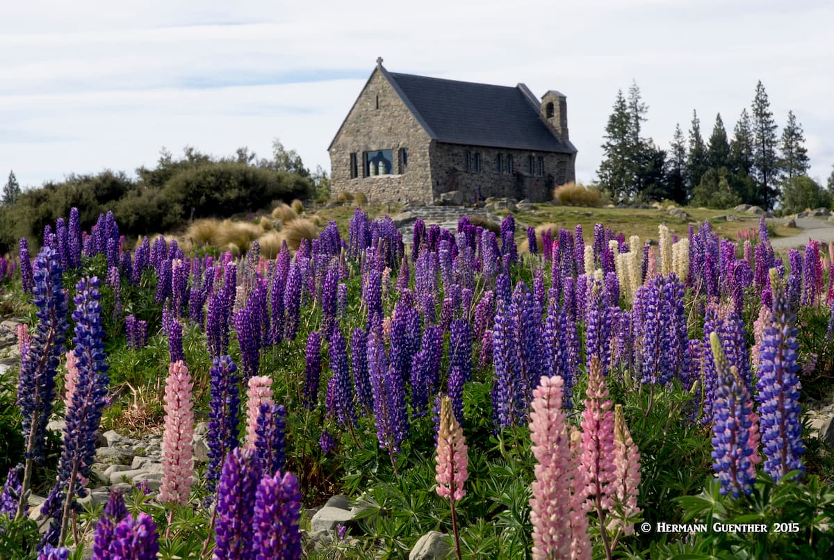Church of the Good Shepherd