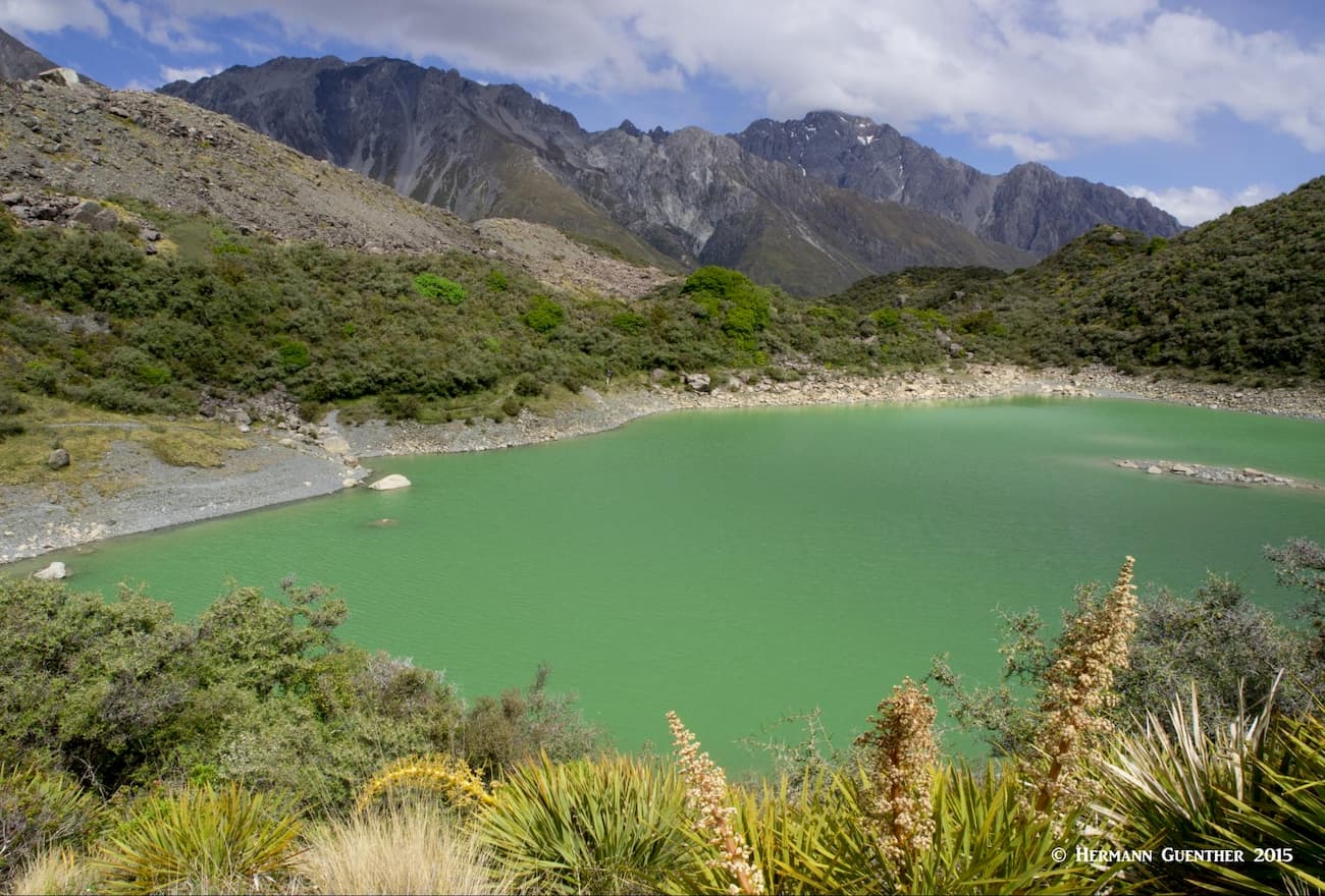Mount Cook. One of the “Blue Lakes” 