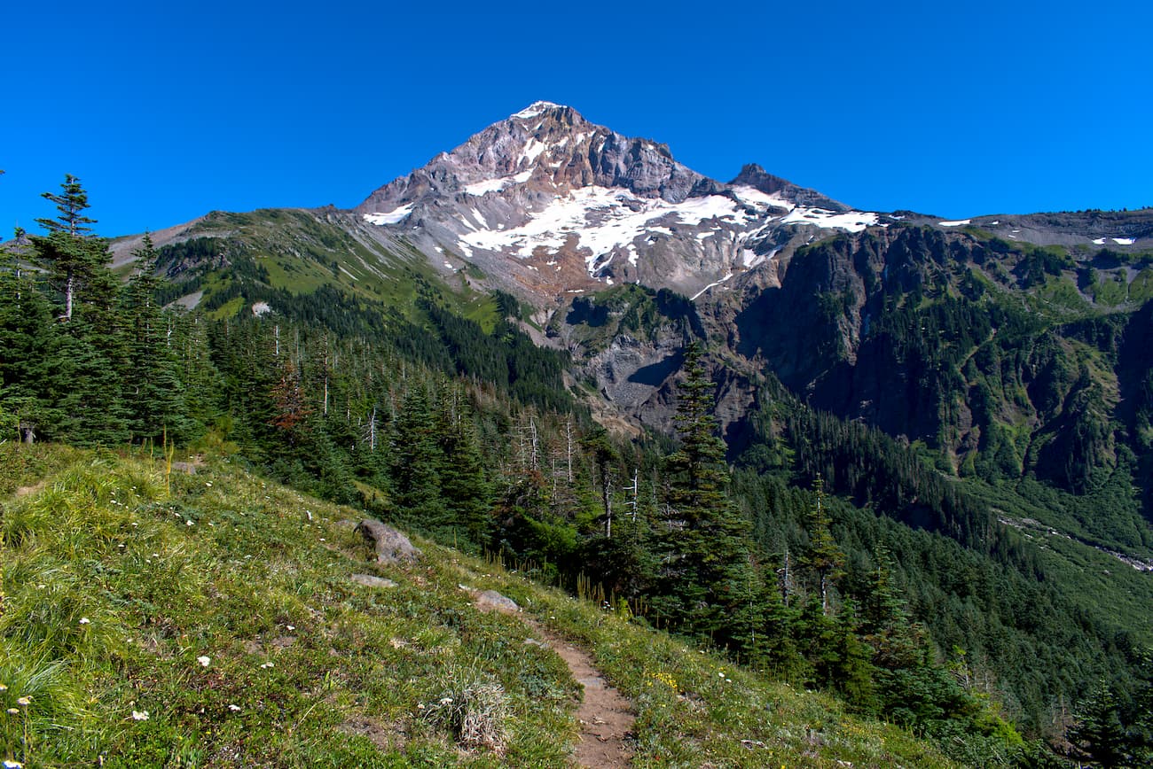 A summer time view of Mt. Hood and the Sandy glacier from the Timberline Trail. Mount Hood Wilderness