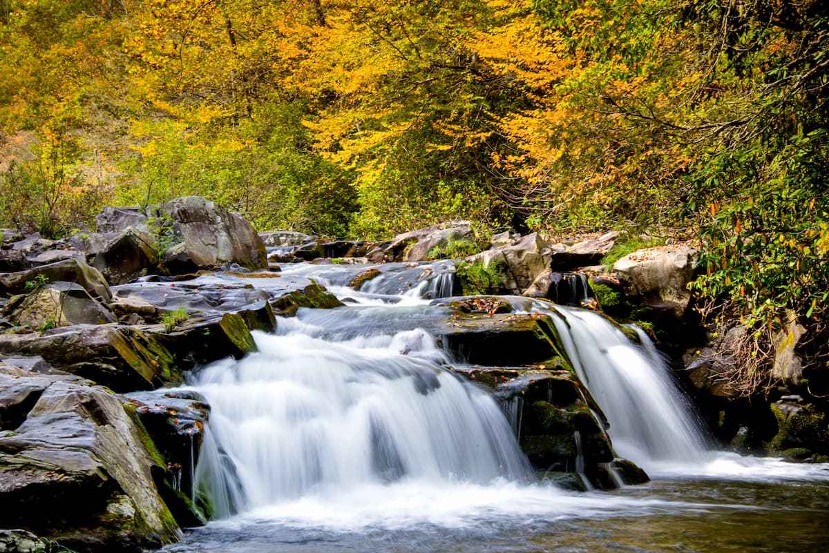 Southern Nantahala Wilderness, in Nantahala National Forest