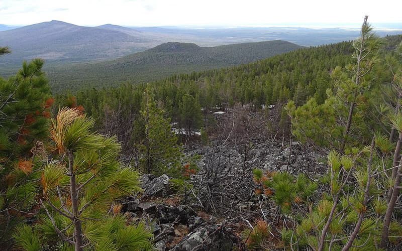 Flora & Fauna. State Nature Reserve Denezhkin Stone