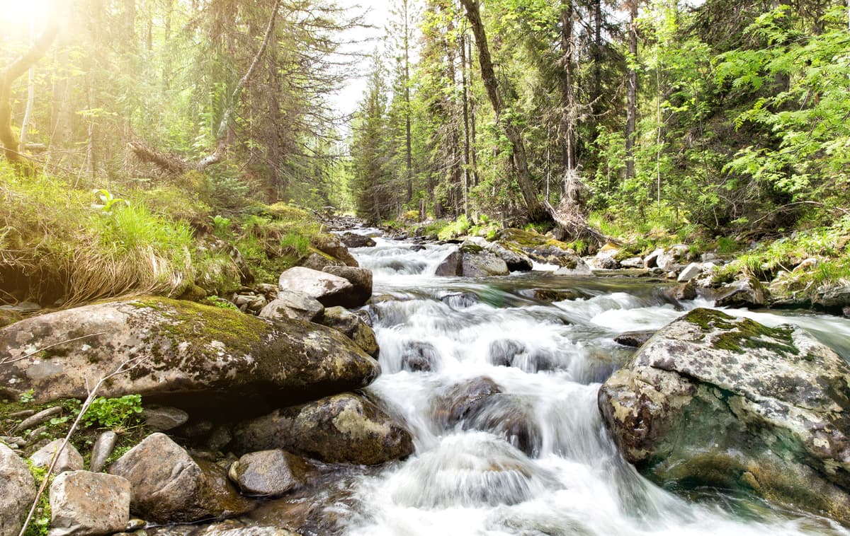 Zhigalan waterfalls. State Nature Reserve Denezhkin Stone