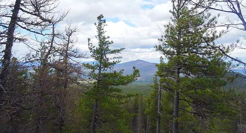 State Nature Reserve Denezhkin Stone