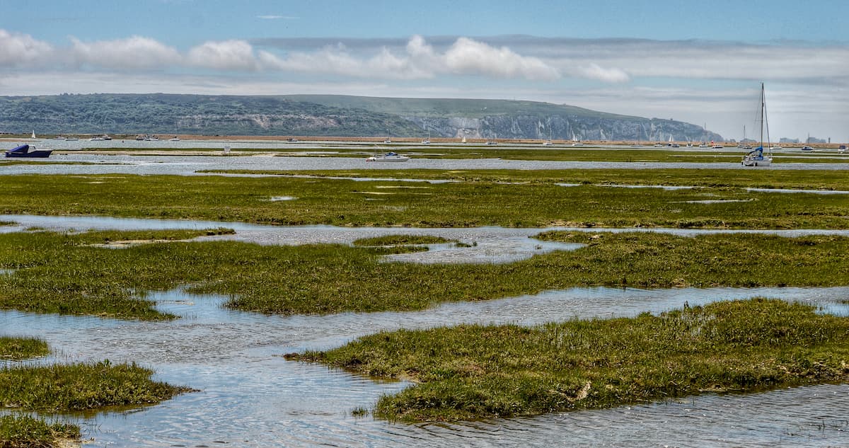 Keyhaven Marsh