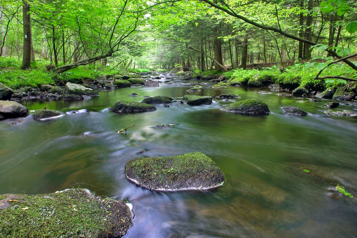 Stokes State Forest, New Jersey