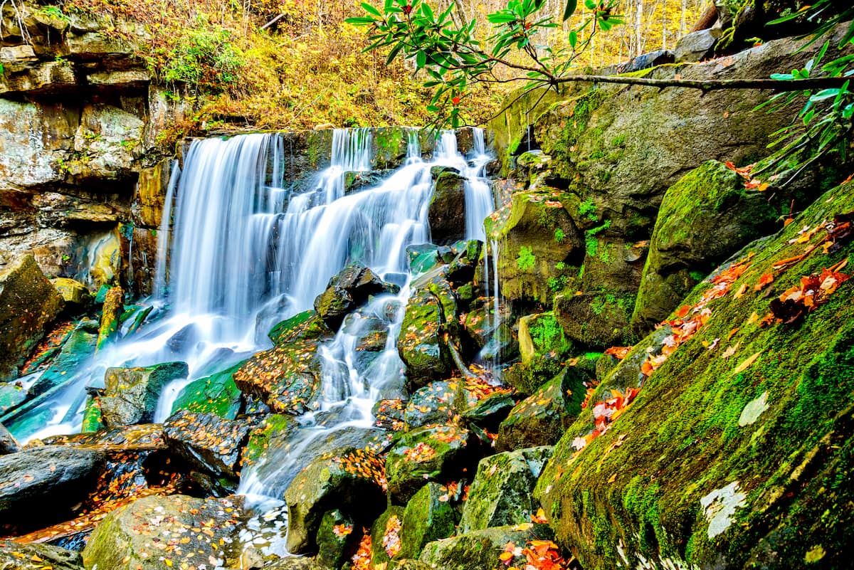 Wolf Creek Falls,  New River Gorge 