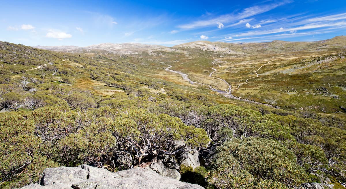 Mount Kosciuszko from Charlotte Pass lookout