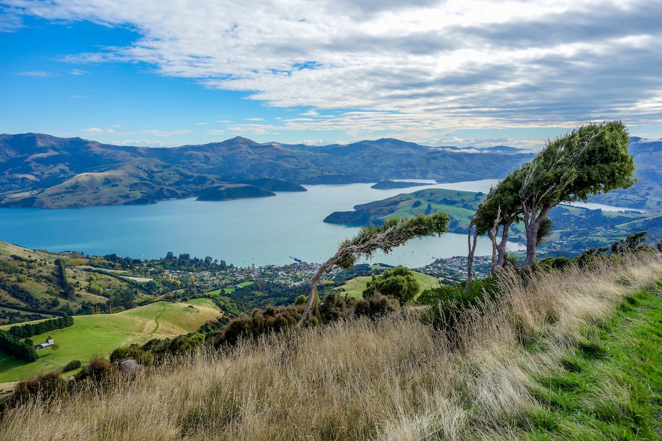 Banks Peninsula. Canterbury