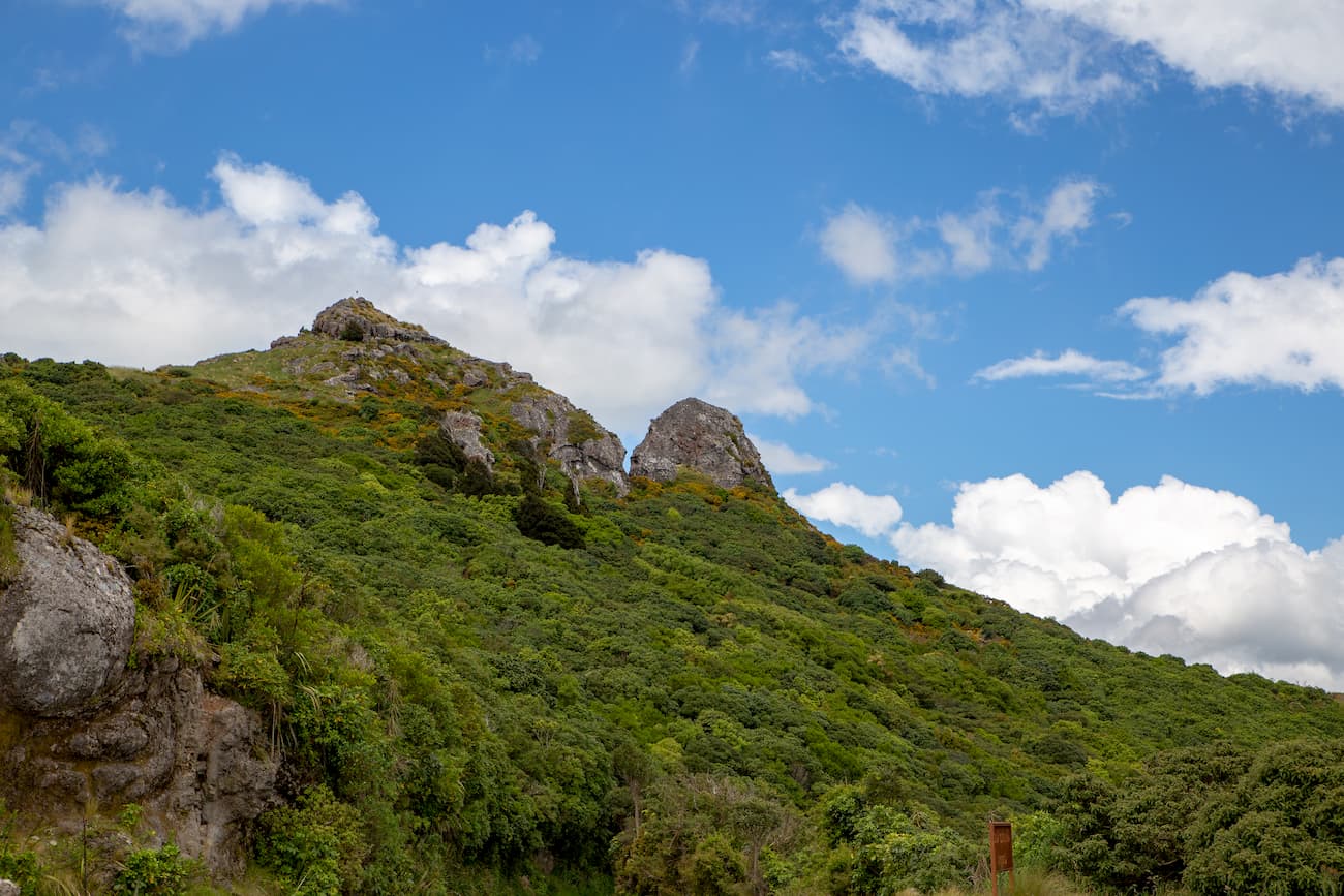 Coopers Knob. Canterbury