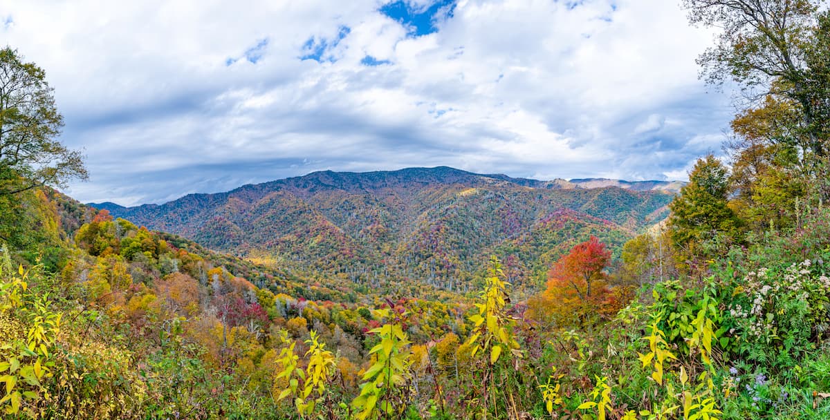 Newfound Mountains landscape