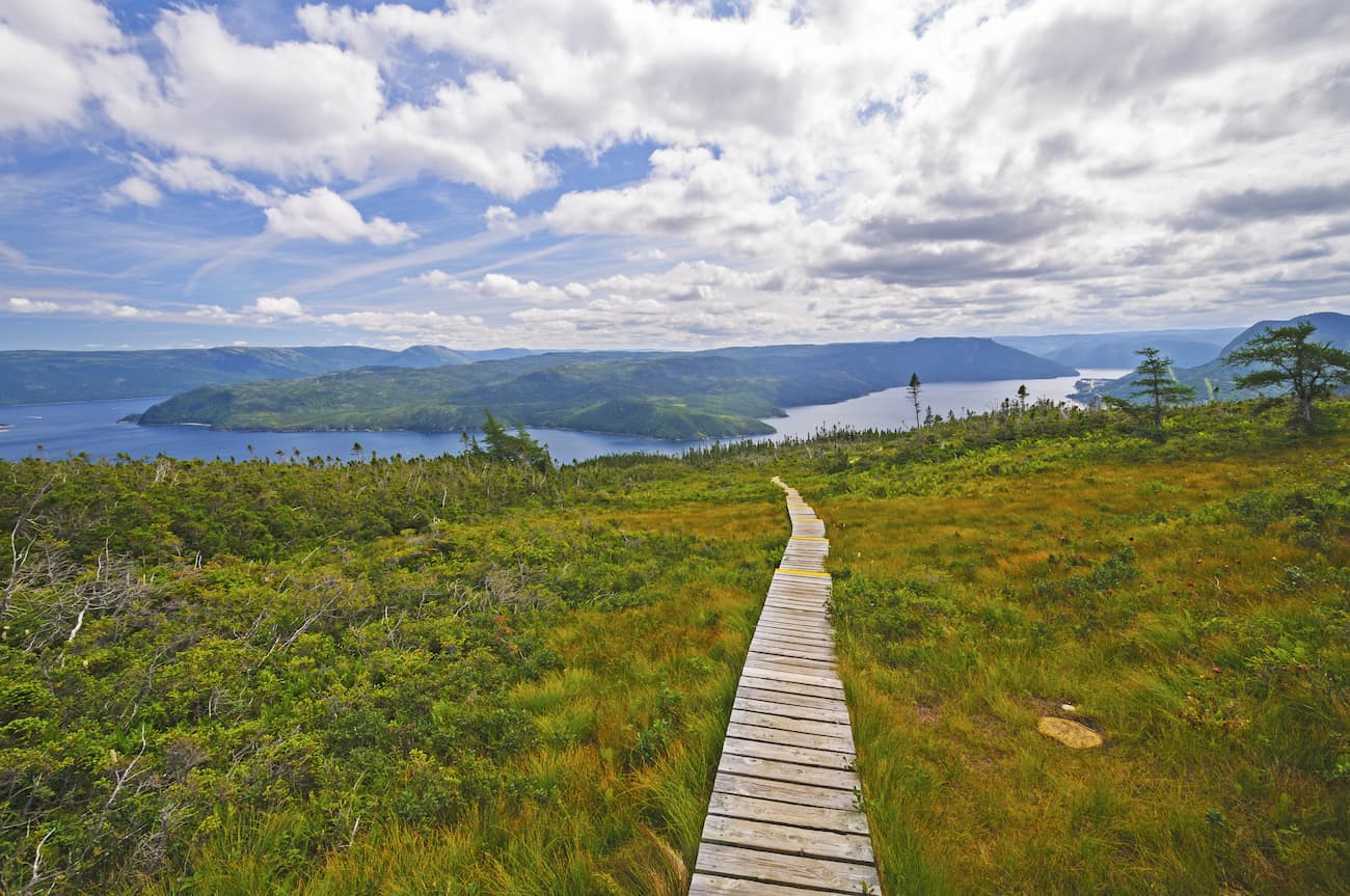 Signal Hill trail to Bonne Bay in Gros Morne National Park