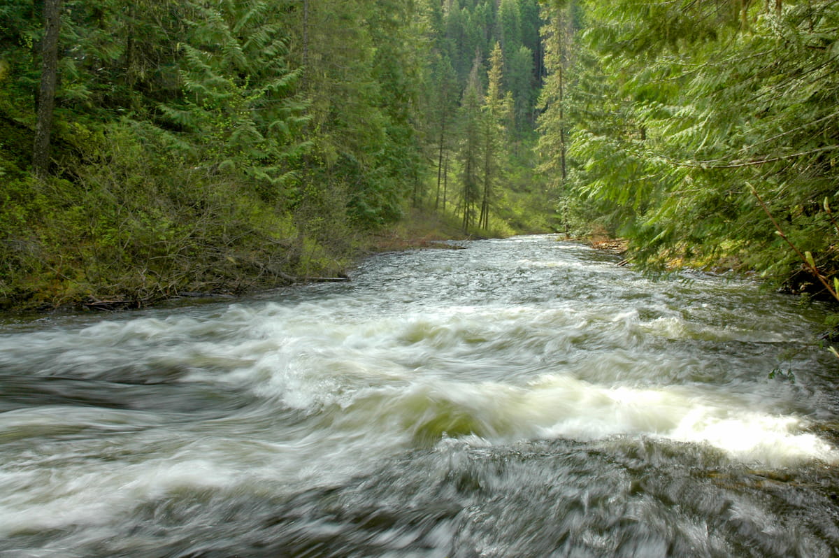 Elk Creek Falls. Nez Perce-Clearwater National Forests