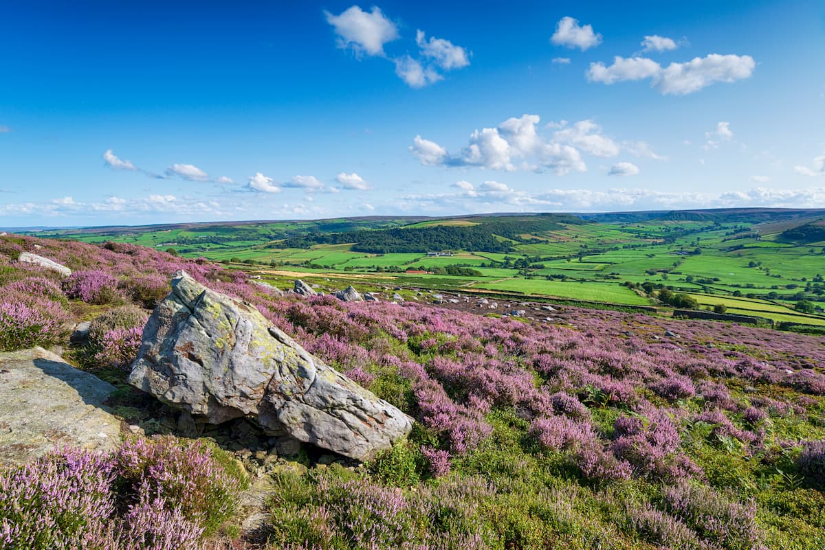 North York Moors National Park