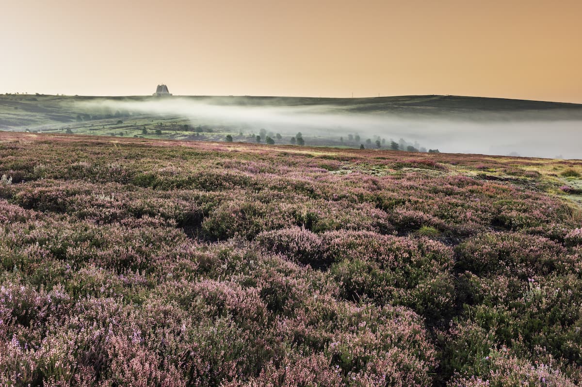 Goathland, Yorkshire. North York Moors National Park