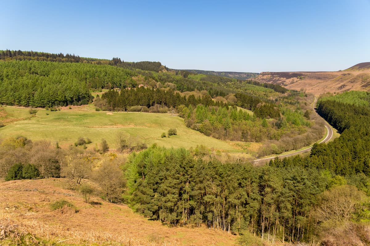 View from Skelton Tower. North York Moors National Park