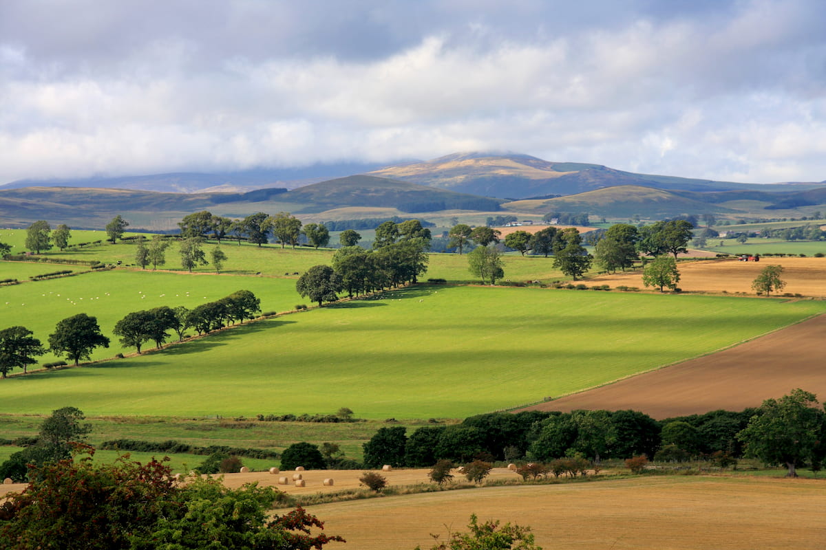 Dunsdale to West Hill. Northumberland National Park