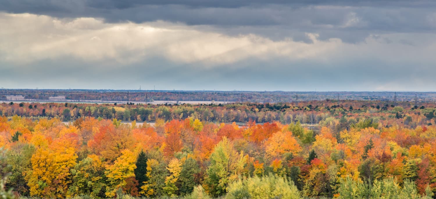 Gault Nature Reserve. Notre Dame Mountains