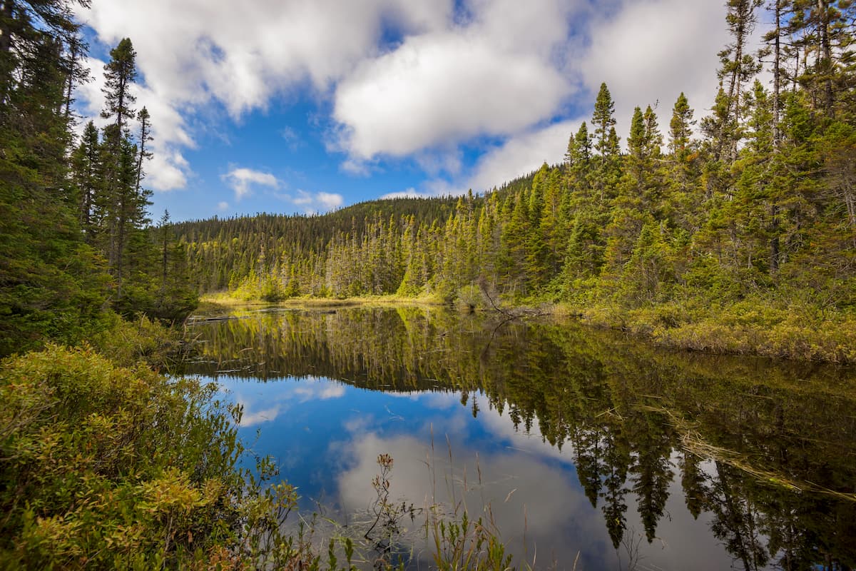 Parc national de la Gaspésie. Notre Dame Mountains