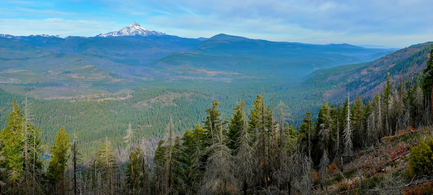 Ochoco National Forest