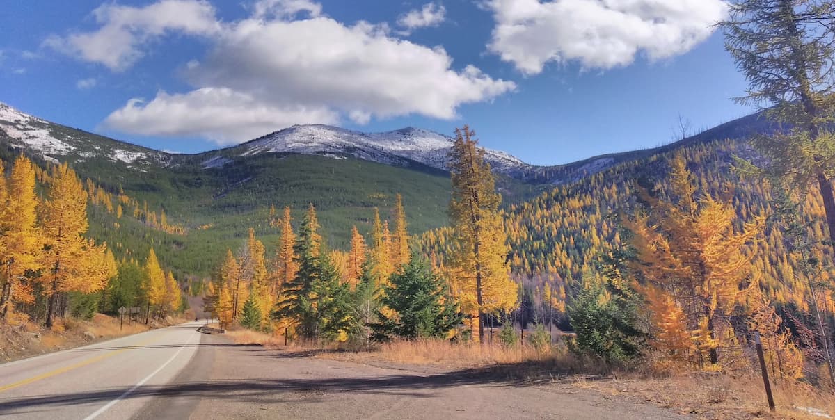 Colville National Forest