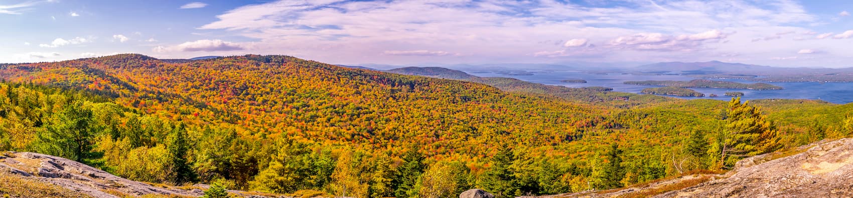 Ossipee Mountains forest, New Hampshire