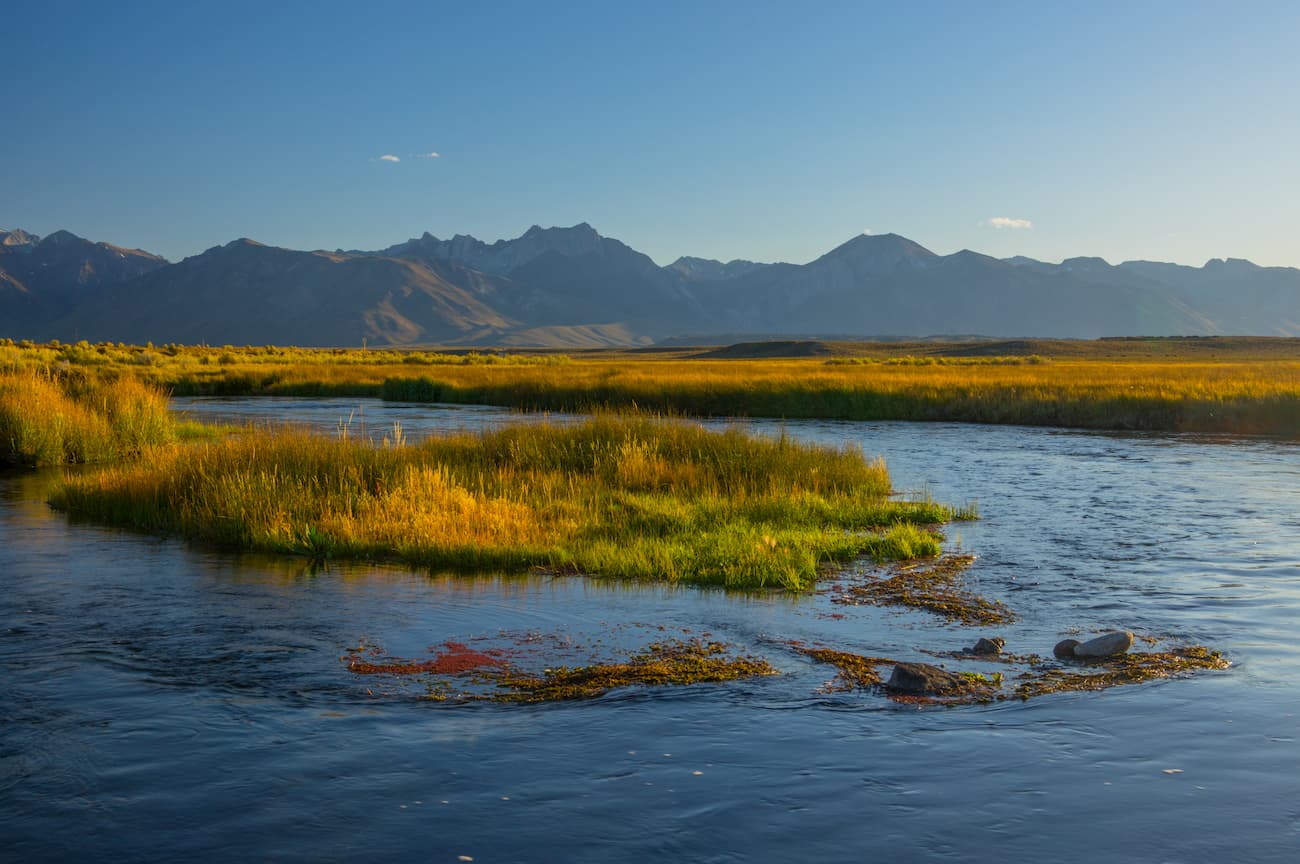 Owens River Headwaters Wilderness