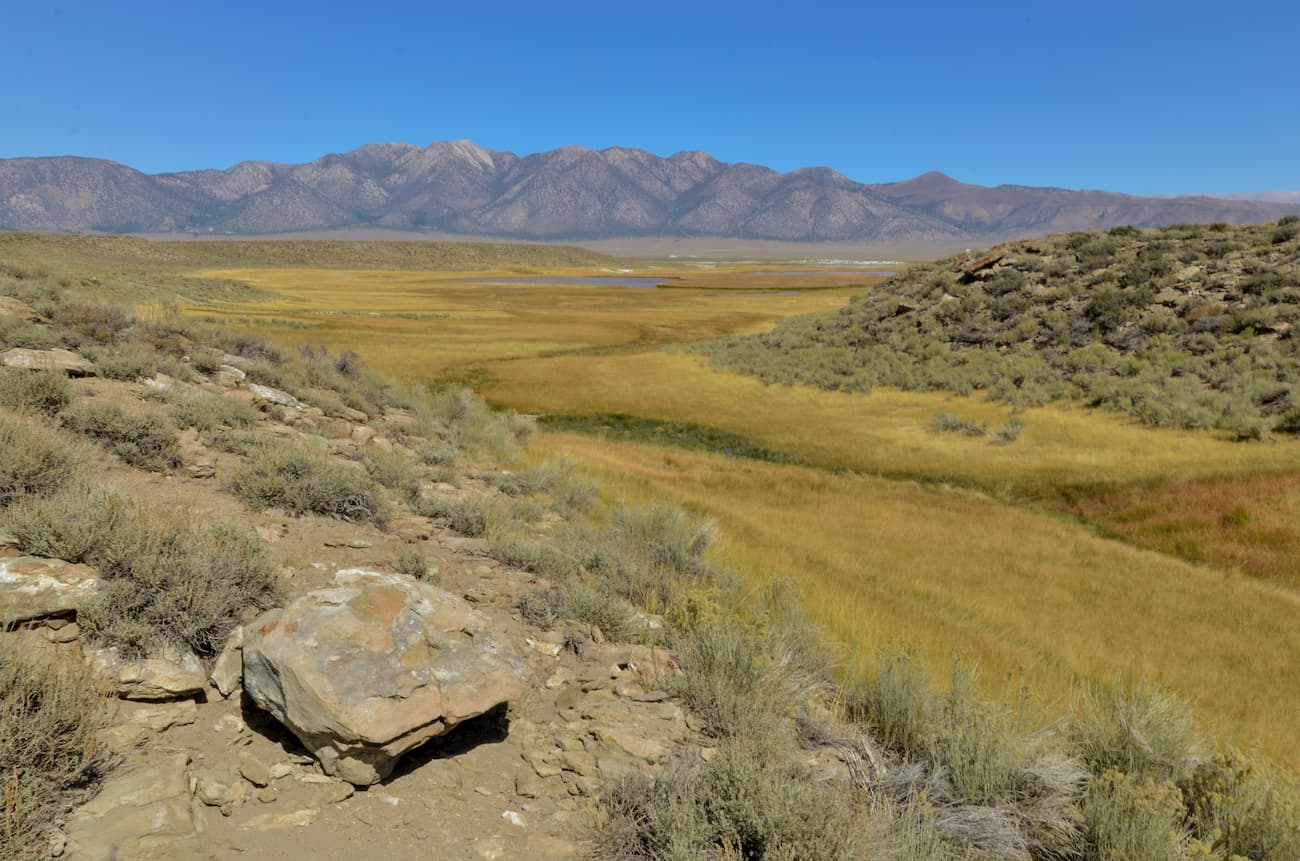 Glass Creek Meadow. Owens River Headwaters Wilderness