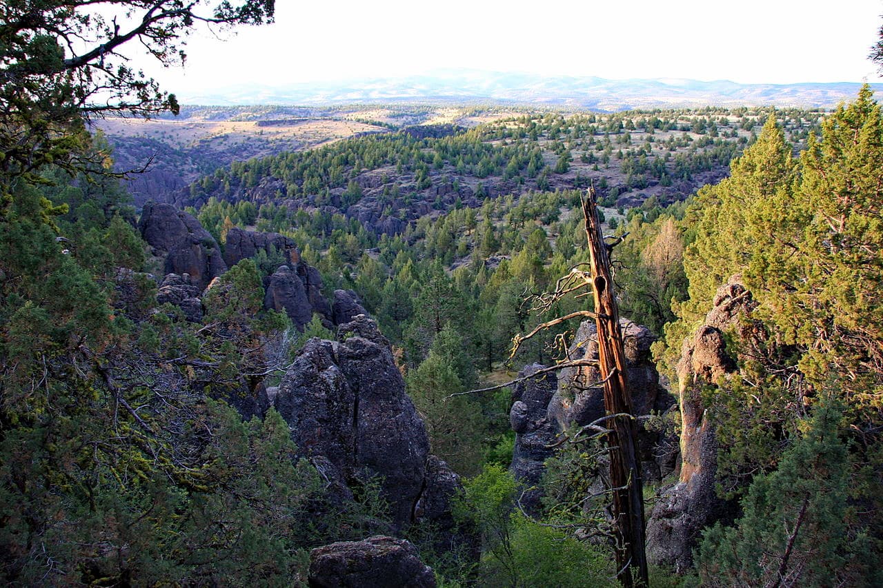 North Fork. Owyhee Mountains