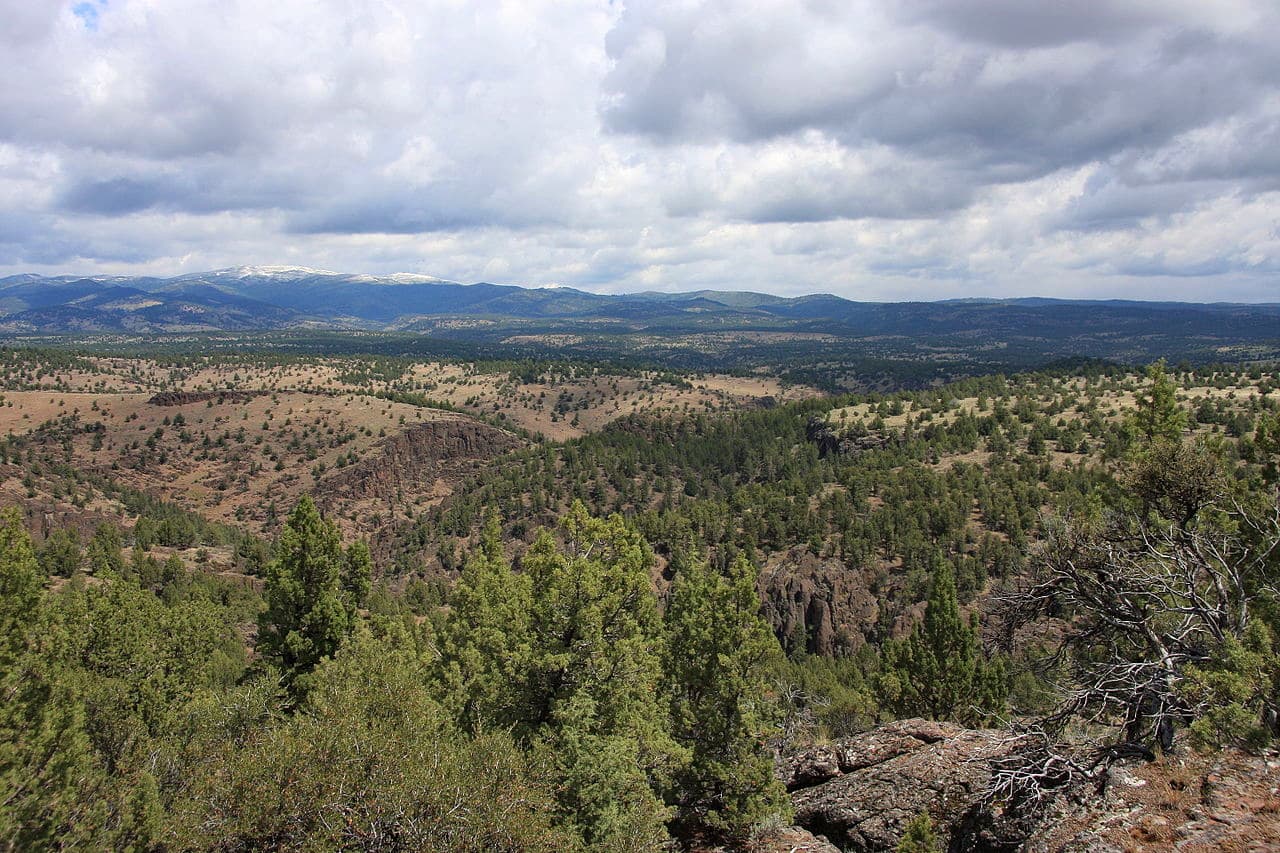 North Fork. Owyhee Mountains