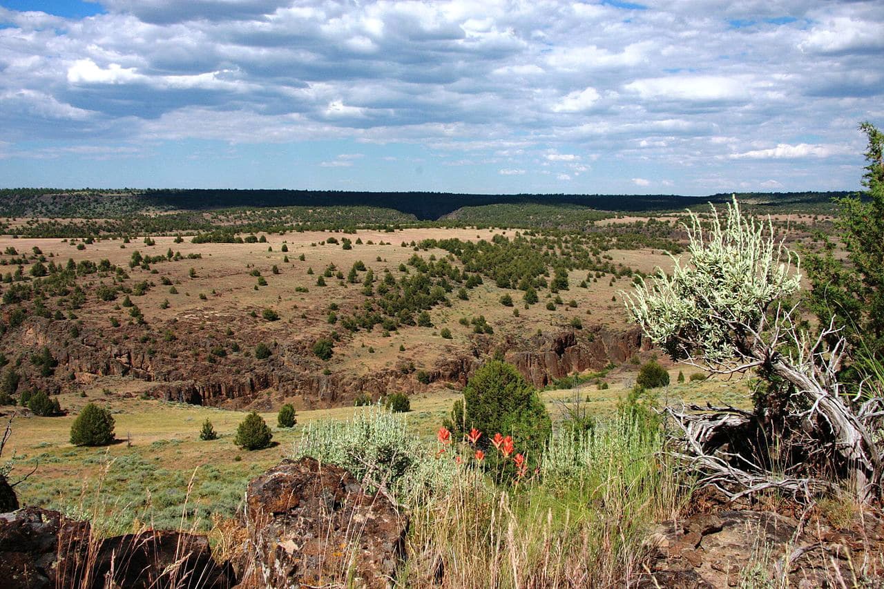 Pole Creek Wilderness Area