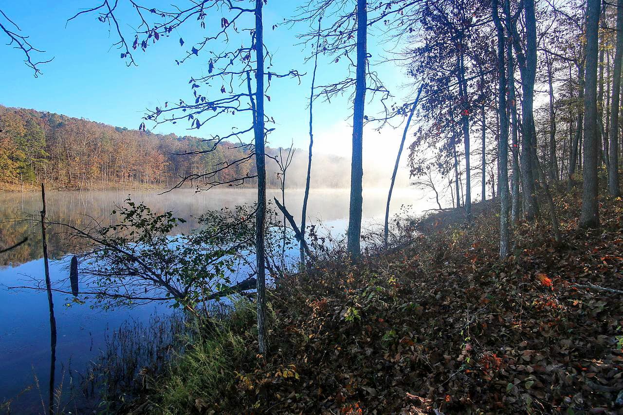 Mark Twain National Forest