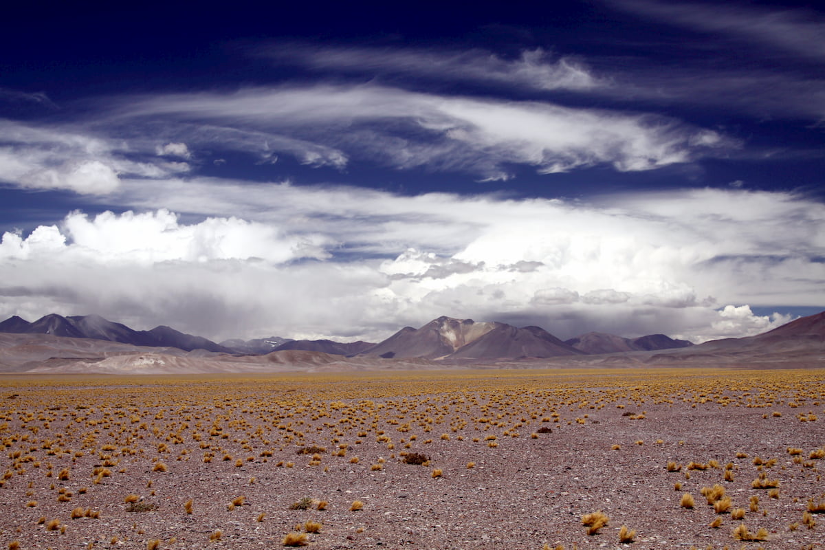 Sendero Laguna del Negro Francisco in Parque Nacional Nevado Tres Cruces