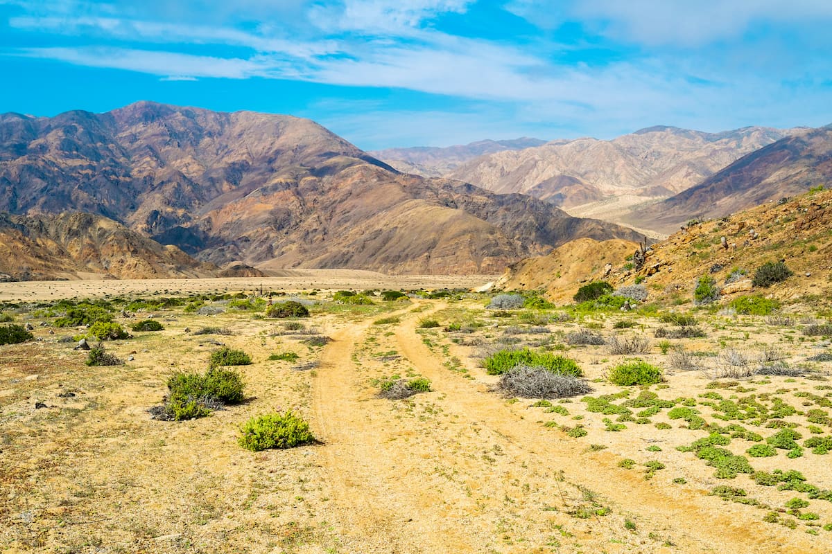 Deserted landscape in in Pan de Azucar National Park. Chile