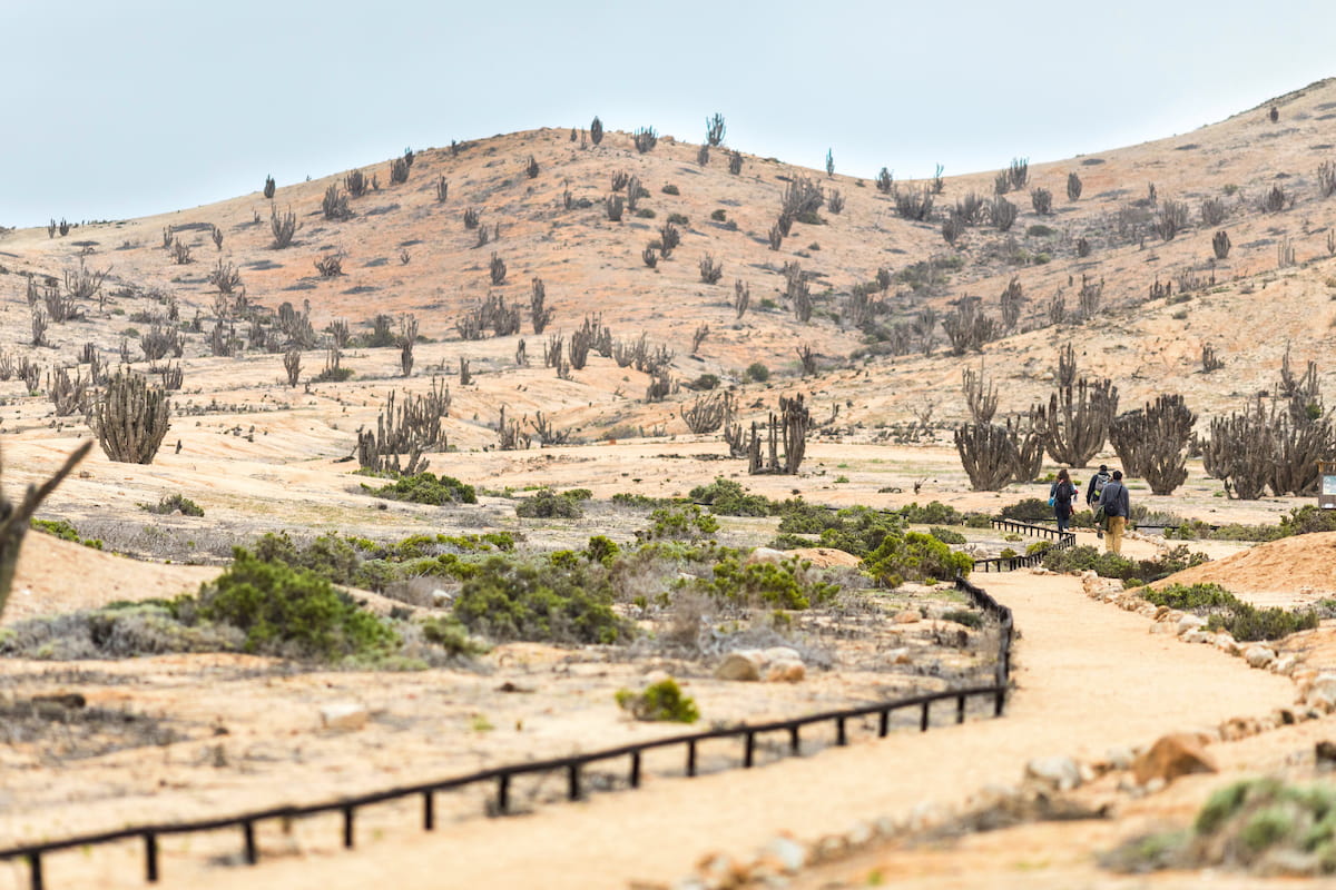 People walking at Atacama Desert in Pan de Azucar National Park, Chile