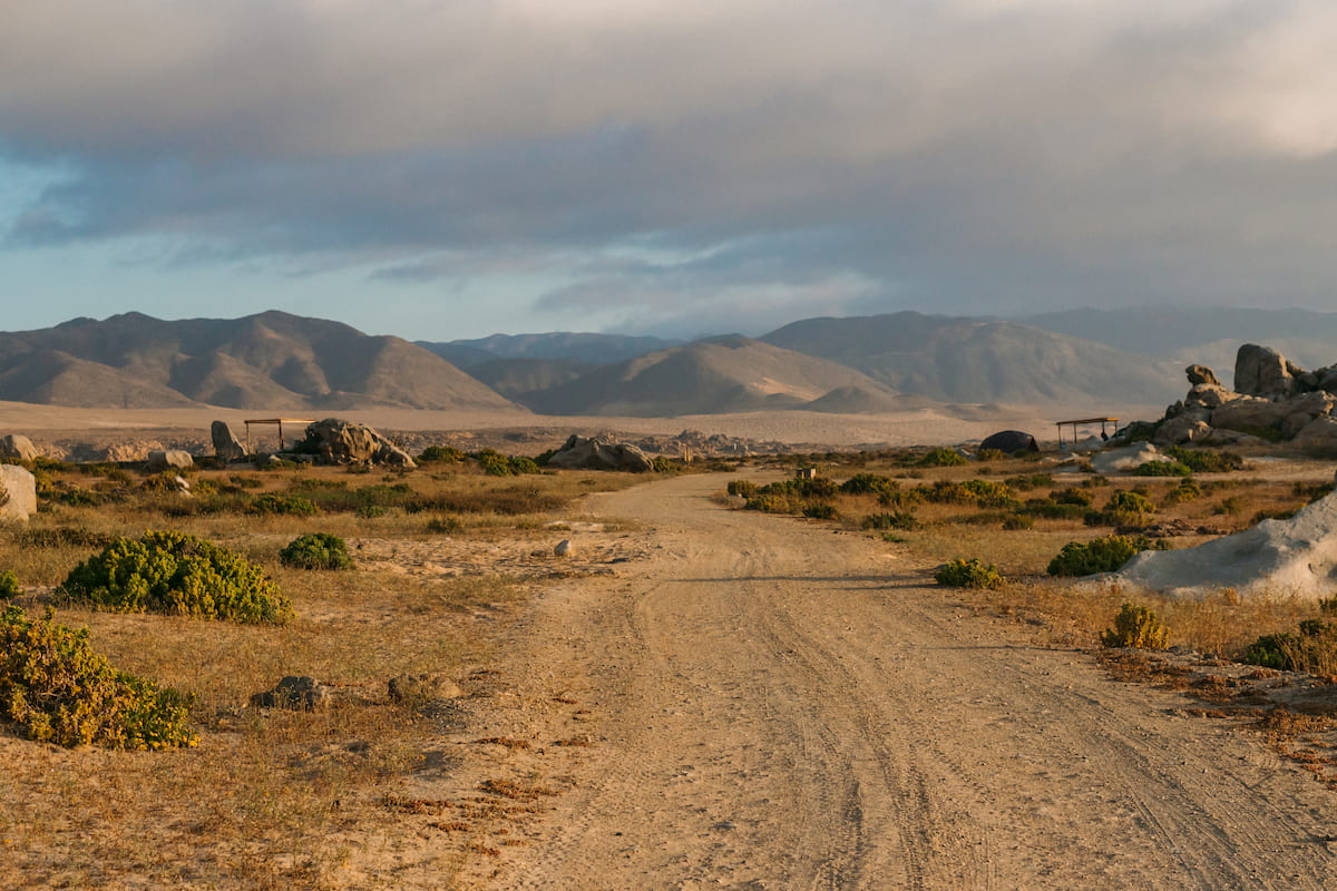 Trekking through the desertic paths of the Llanos de Challe National Park