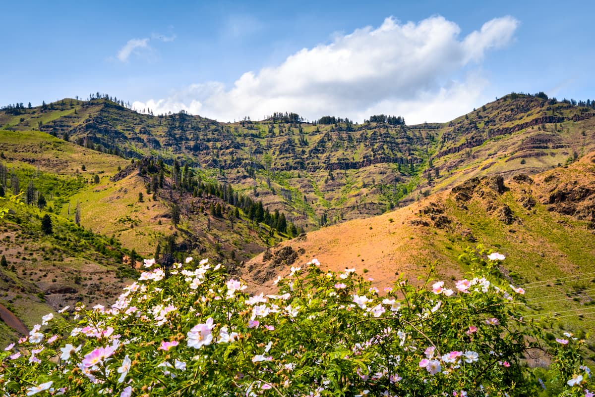 Hells Canyon Wilderness. Payette National Forest