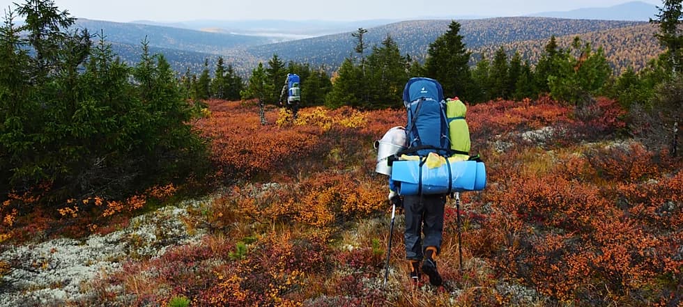 Pechora-Ilychsky Reserve