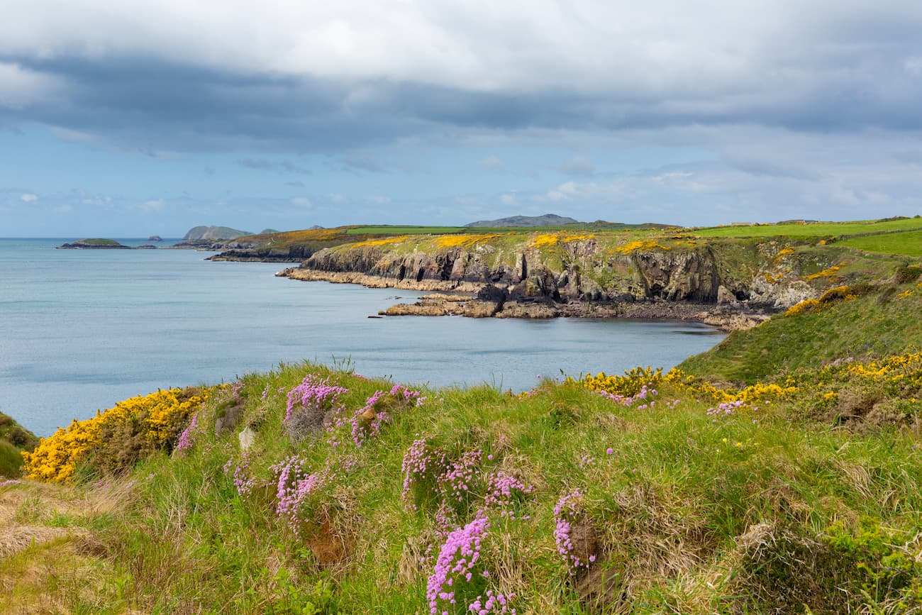 Coast Path. Pembrokeshire Coast National Park