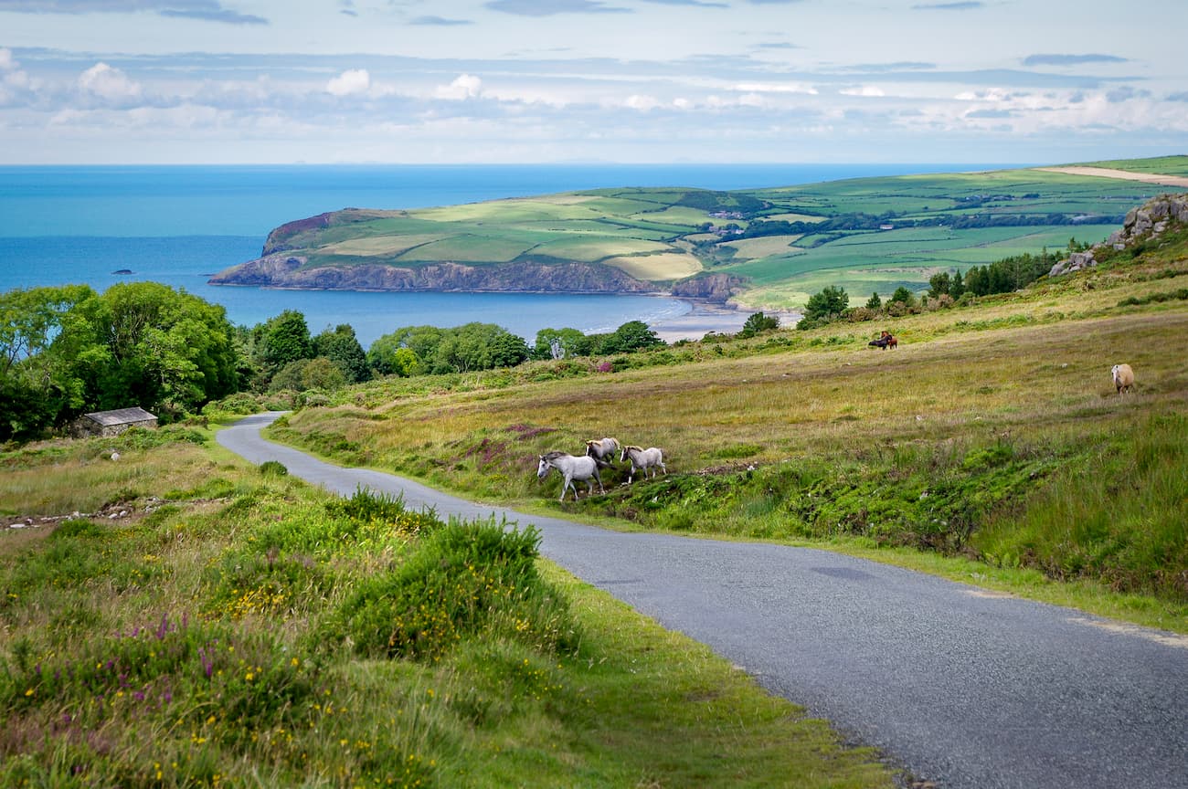 Golden Road. Pembrokeshire Coast National Park