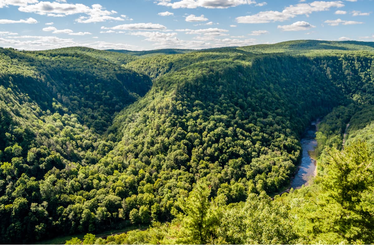 Pine Creek Gorge-