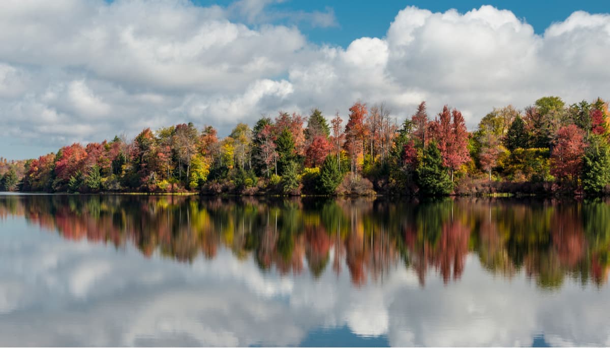 Státní park Ricketts Glen, Pensylvánie.